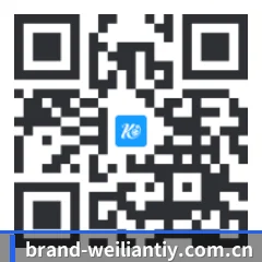 iOS 极速版客户端 二维码